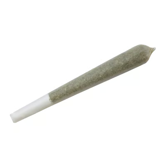 1G House Pre Roll