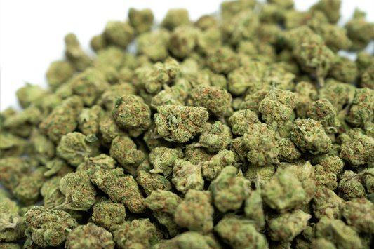 Lemon Cherry Sherbet Smalls