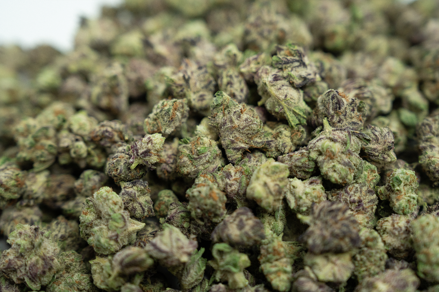 Purple Punch Smalls