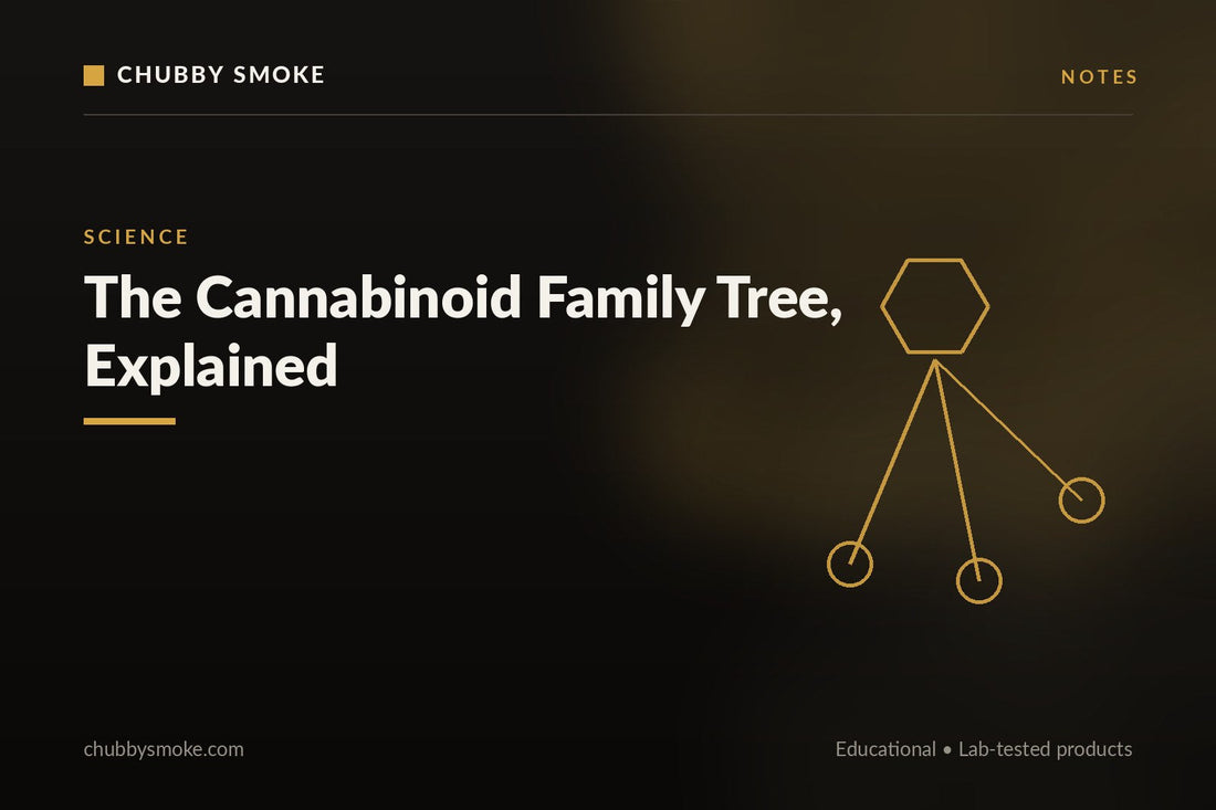 The Cannabinoid Family Tree, Explained