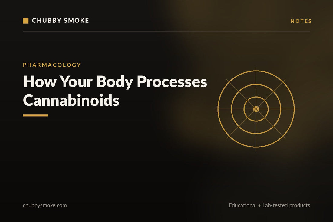 How Your Body Processes Cannabinoids: A Deeper Look