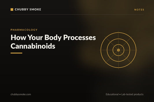 How Your Body Processes Cannabinoids: A Deeper Look