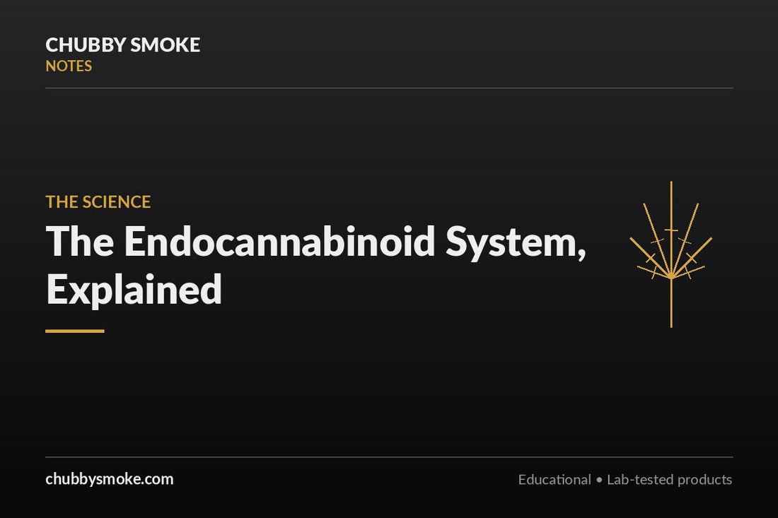 The Endocannabinoid System, Explained