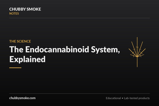 The Endocannabinoid System, Explained