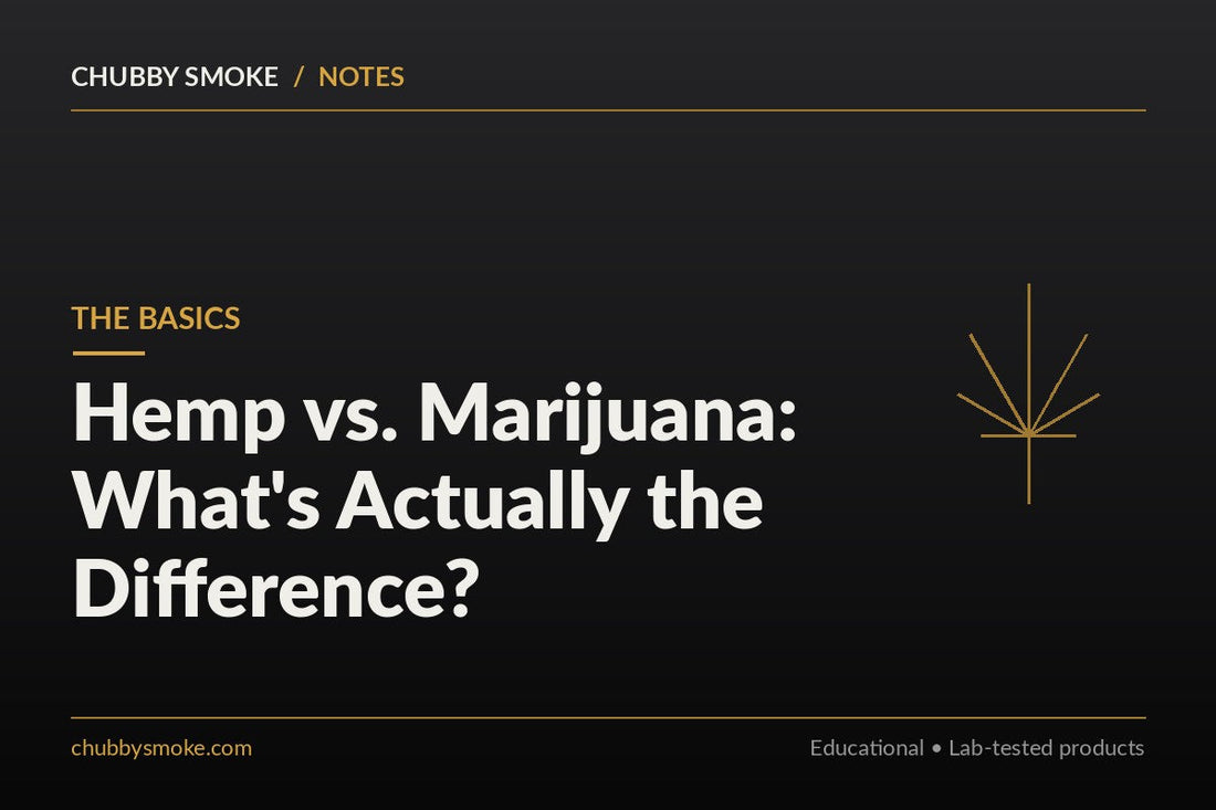 Hemp vs. Marijuana: What's Actually the Difference?