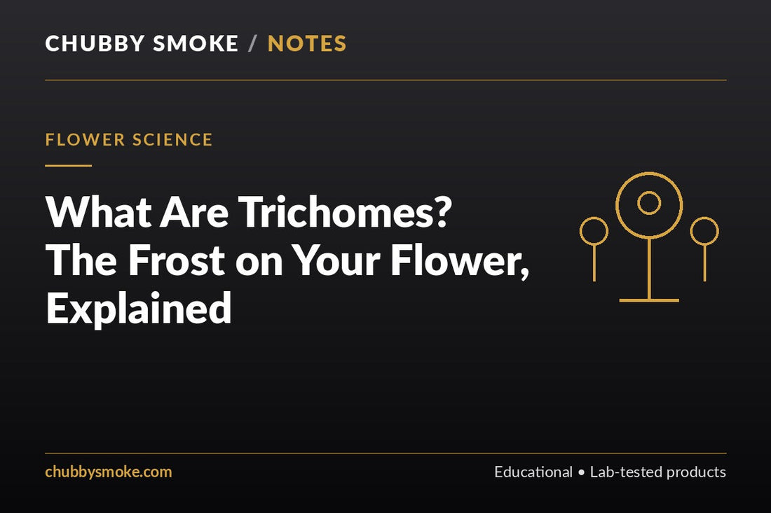 What Are Trichomes? The Frost on Your Flower, Explained
