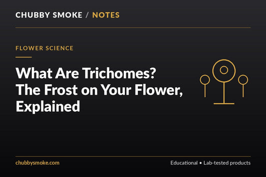 What Are Trichomes? The Frost on Your Flower, Explained