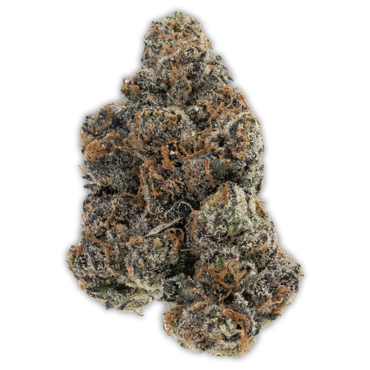 Top Shelf