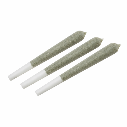 1G House Pre Roll