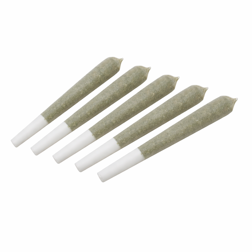 1G House Pre Roll