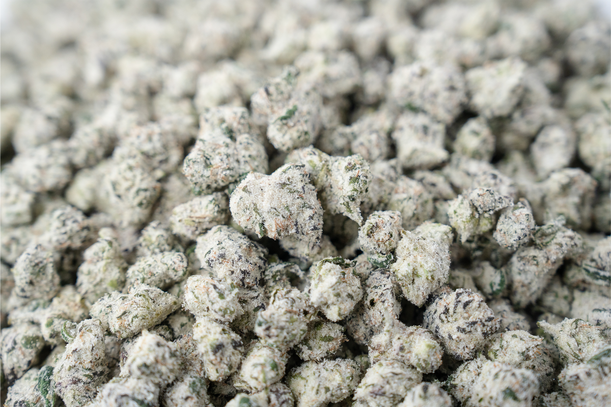 Apple Fritter Smalls Snowcap