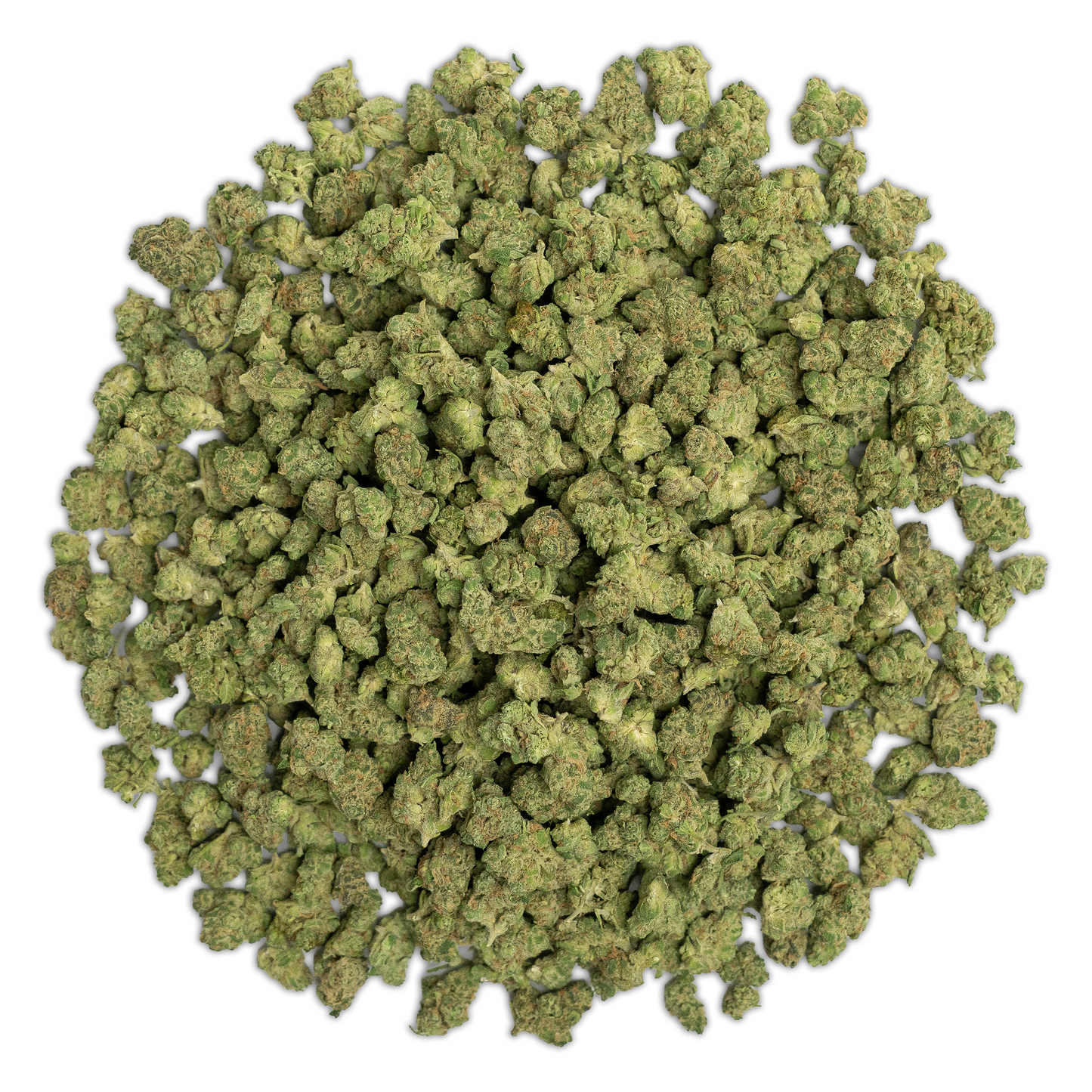 Governmint Oasis Smalls