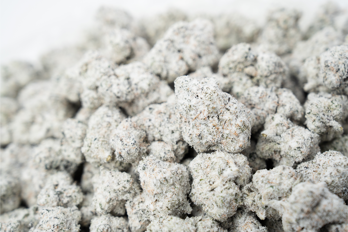 Gumbo Snowcap