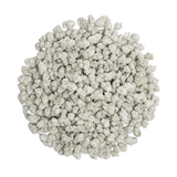 Apple Fritter Smalls Snowcap